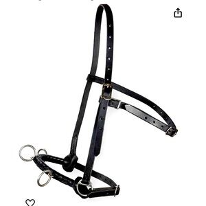 Horse Lunging Cavesson